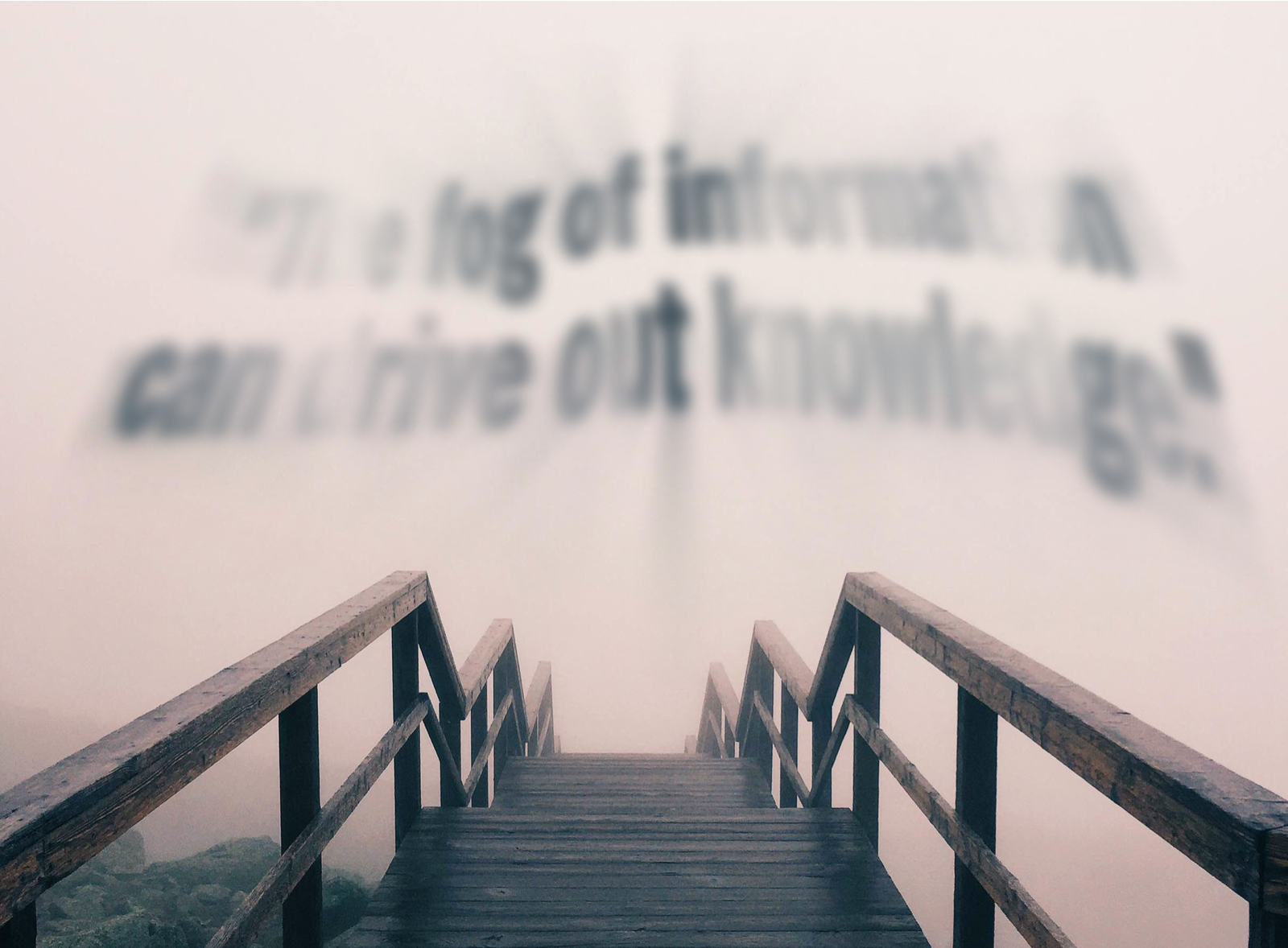 ...but the fog of information can drive out knowledge."